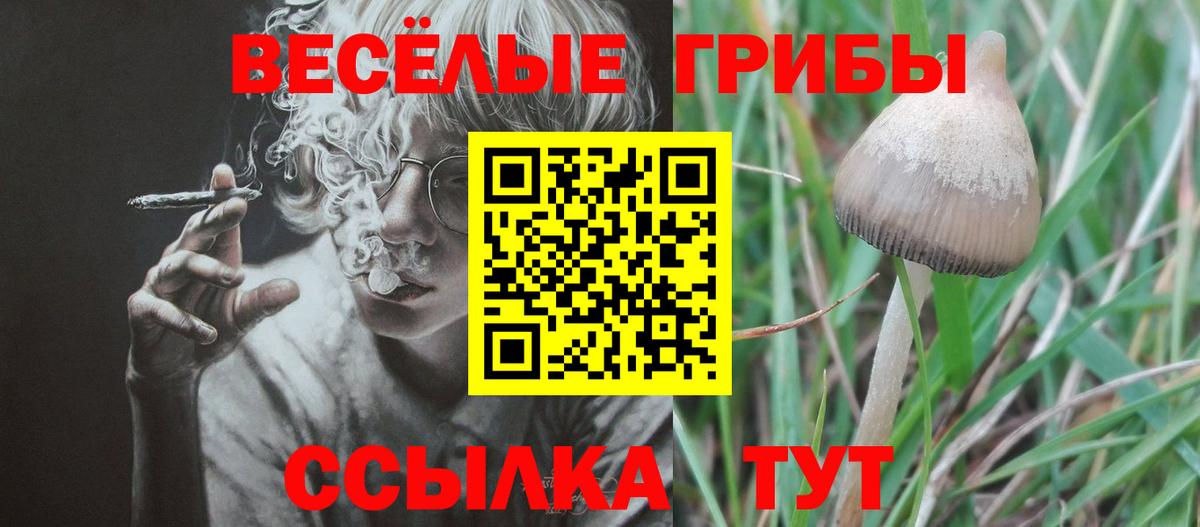 Котлас  Галлюциногенные грибы GOLDEN TEACHER  магазин продажи наркотиков  Вход с VPN 