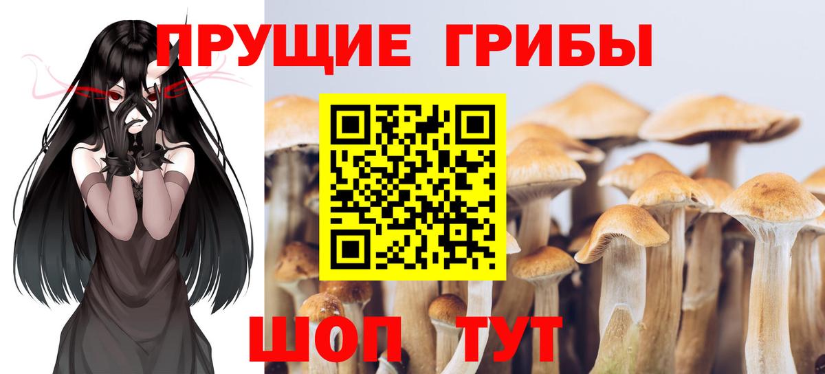 Галлюциногенные грибы мицелий Котлас